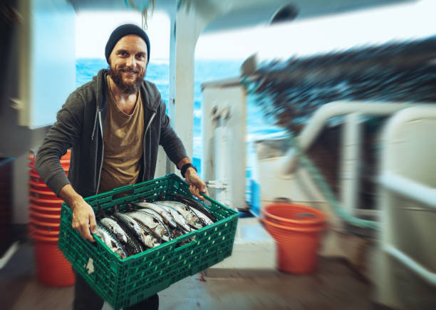 Fisherman with fresh fish on the fishing boat deck, posing with a fisherman beanie. He holds a box of mackerel