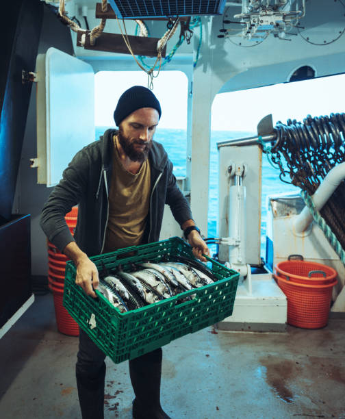 istock Fisherman with fresh fish box on the fishing boat deck 1433200229