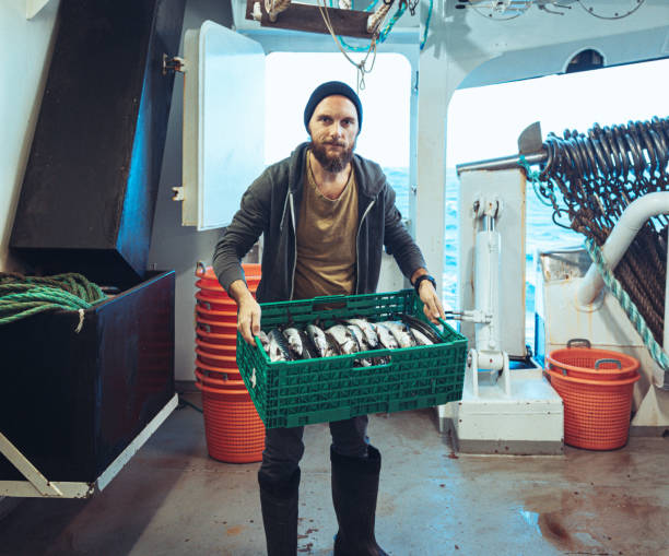 istock Fisherman with fresh fish basket on a fishing boat 1433200323