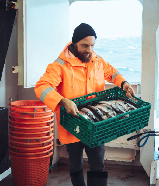 istock Fisherman with fresh fish box on the fishing boat deck 1433200337