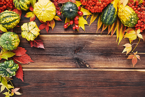 Autumn background with pumpkins, fallen colorful leaves on a dark wooden table. Happy Thanksgiving Day concept. Flat lay, copy space for text