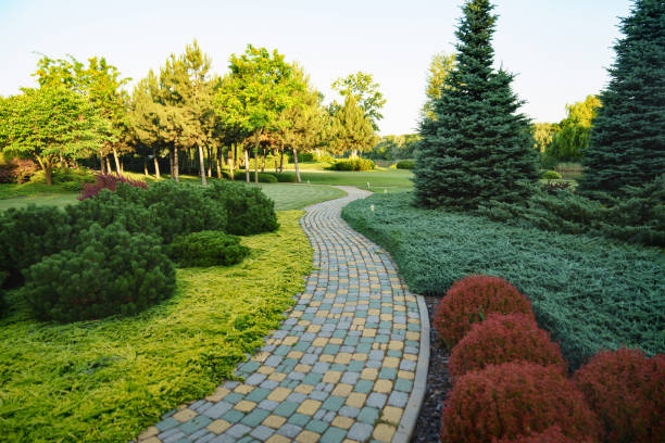 istock Landscaping in the park. stone-paved path in the garden. 1433208781