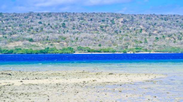istock menjangan island 1433211848
