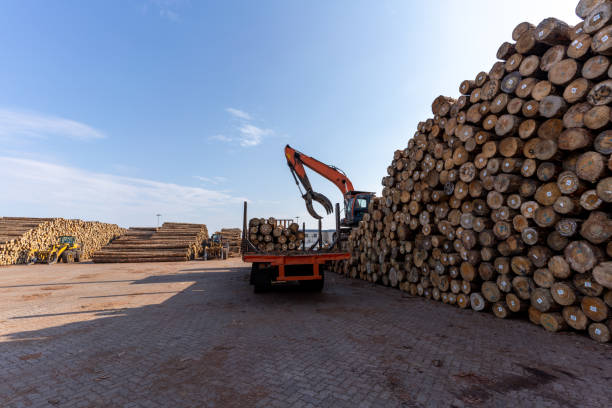 istock Forklift in the wood distribution area are loading and unloading wood 1433213891