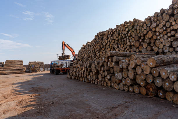 carrelli elevatori e camion nel deposito di legname all'aperto trasportano legna - lumber industry timber truck forklift foto e immagini stock