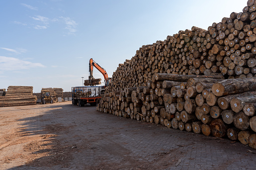 Forklift and truck in the open-air timber yard are carrying wood