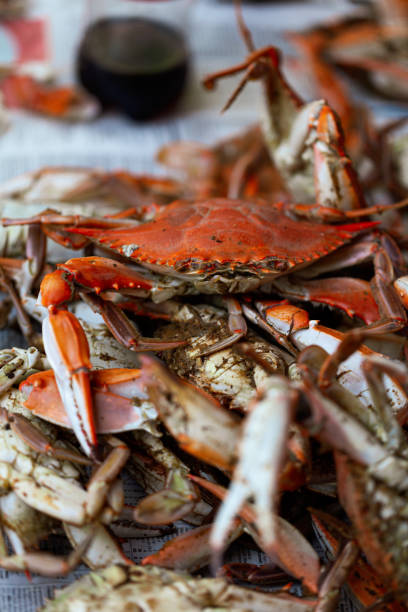 steamed crabs pile - maryland blue crab imagens e fotografias de stock