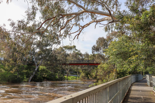 istock river landscape with bridge and walking trail through bushland 1433224657