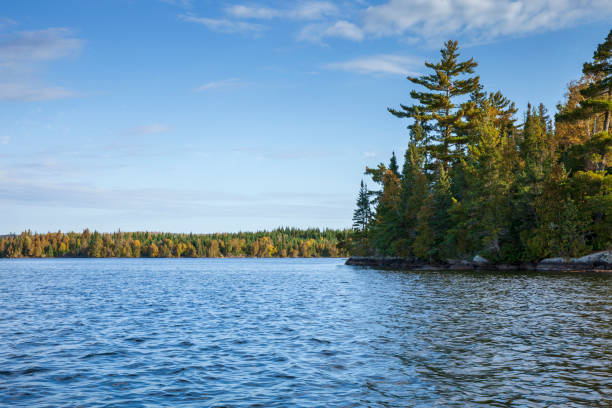 lago blu nelle acque di confine del minnesota settentrionale in una luminosa mattina d'autunno - brule foto e immagini stock