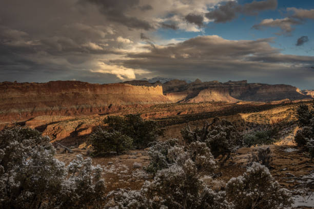 Snow Covered Bushes In Capitol Reef Desert