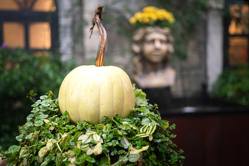 A giant piece of orange pumpkin which is used to decorate for Halloween event. Holiday event decoration scene, selective focus.
