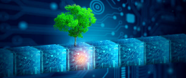 istock Digital cube with tree against nature. Ecology, Energy, and Environment Concept. 1433239605
