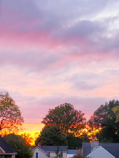 Golden Orange, Pink, Blue and Purple Sunset - silhouettes of trees and tops of houses - possible real estate concept