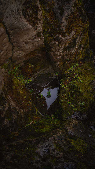 Heart Puddle Pictures | Download Free Images on Unsplash