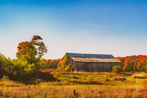 Autumn Landscape - Large old Barn