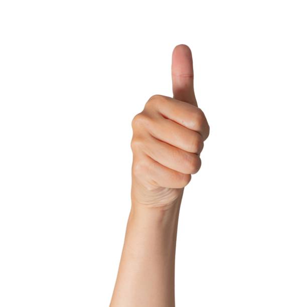 istock Closeup Beautiful female hand count from one to five gesture Isolated on blank white background. Set of woman palms raised fingers gesture numbers concept for people thumb nail solution. 1433252504