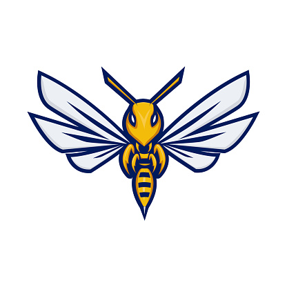 Bee or Hornet Mascot , Bee or Hornet E sport  Template