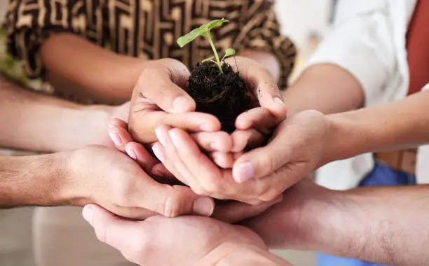 Photo of Green economy, sustainability plant hands and global growth of teamwork with hope, help and trust for earth, future community and environment success. Planet diversity, innovation and accountability