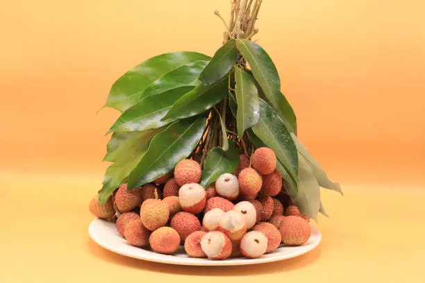 Photo of Lychee, a popular fruit, there are a lot of bunches.