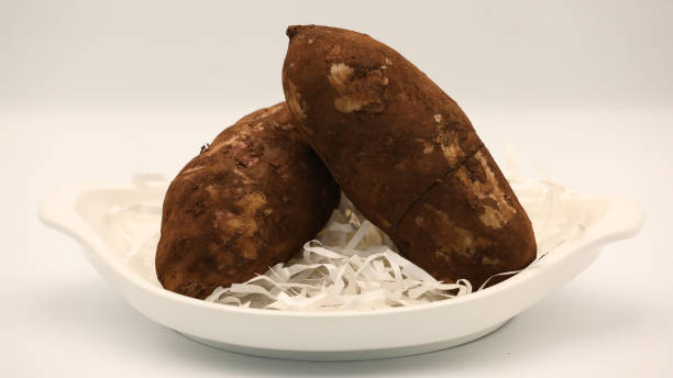 istock Freshly peeled snow lotus can eat 1433269496