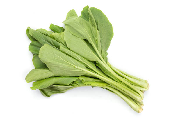 istock Pakchoi, Chinese cabbage on background 1433269788
