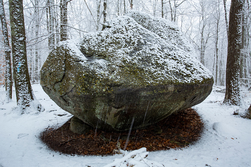 Big glacial boulder in a snowy woods at Case Mountain in Manchester, Connecticut, in an early March snowsquall.