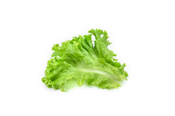 istock Lettuce leaf on white background,Salad ingredient 1433271068