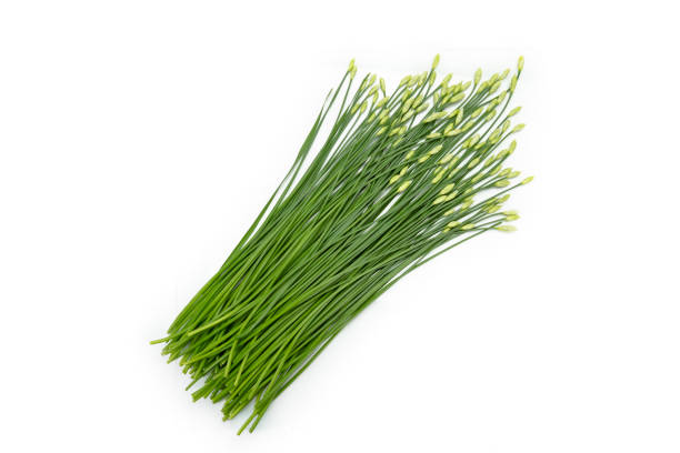 istock garlic chive in threshing basket isolated on white. 1433271089