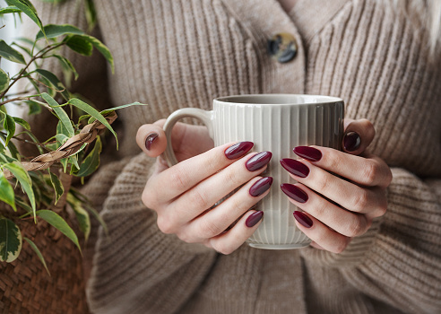 Beautiful hands of a young woman with dark red manicure on nails. Girl in a sweater holding a mug of tea
