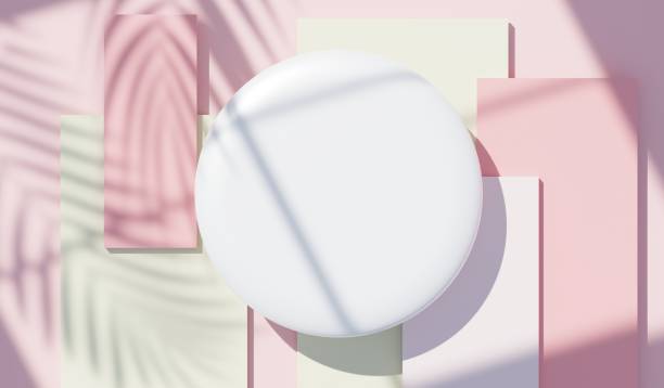 istock 3d render top view of white blank cylinder frame for mock up and display products with shadows of palm leaves, earth tone, and violet wall background. Creative idea concept. Widow shadow. 1433272228