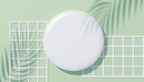istock 3d render top view of white blank cylinder frame for mock up and display products with shadows of palm leaves, earth tone, or pastel wall background. Creative idea concept. Widow shadow. 1433280837