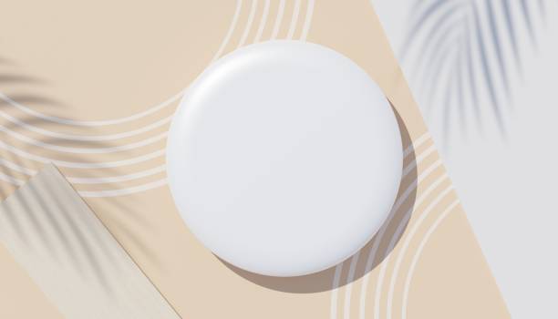 istock 3d render top view of white blank cylinder frame for mock up and display products with shadows of palm leaves, earth tone, or pastel wall background. Creative idea concept. Widow shadow. 1433281486