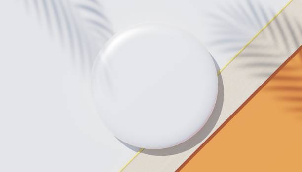 istock 3d render top view of white blank cylinder frame for mock up and display products with shadows of palm leaves, earth tone, or pastel wall background. Creative idea concept. Widow shadow. 1433282218