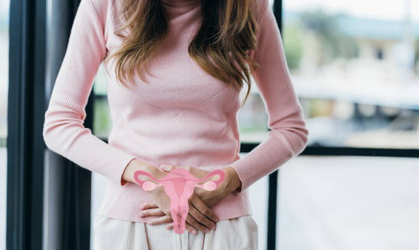 mani della donna che toccano l'utero virtuale, sistema riproduttivo femminile, salute della donna, pcos, cancro ginecologico e cervicale ovarico, concetto femminile sano - estrogeno foto e immagini stock