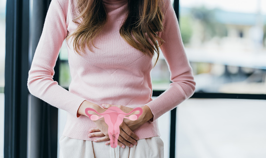 Woman hands touching virtual uterus, female reproductive system , woman health, PCOS, ovary gynecologic and cervix cancer, Healthy feminine concept