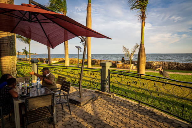 un marabú acecha a las personas sentadas en la terraza de un restaurante de lujo a orillas del lago victoria, entebbe, uganda - lake victoria fotografías e imágenes de stock