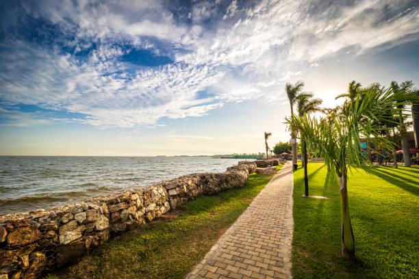 atemberaubender, malerischer blick auf den gehweg in einem park am ufer des viktoriasees in entebbe, uganda, während der letzten sonnenstrahlen am abend - africa blue cloud color image stock-fotos und bilder