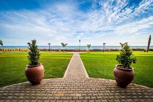 View of the walkway in a park on the shore of Lake Victoria in Entebbe, Uganda, with two potted plants in the foreground Entebbe, Uganda - November 1st 2022. Two potted plants left and right of a pedestrian walkway through a park at the shore of Lake Victoria. No people visible. lake victoria stock pictures, royalty-free photos & images
