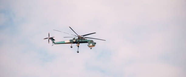 istock Aerial Crane Or Flying Crane Flying In Sky 1433287302