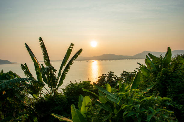 istock Beautiful landscape in Thailand, Phuket. 1433288787