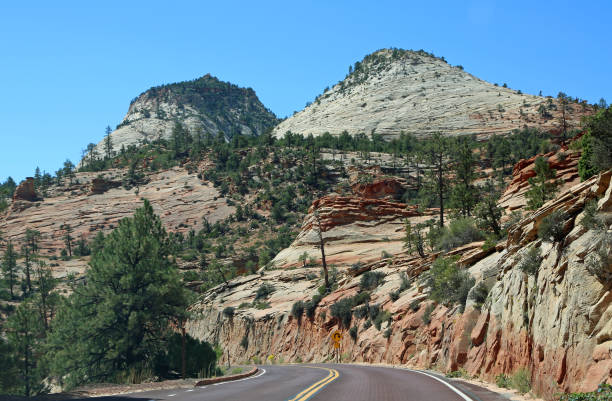 istock Road in Zion NP 1433289043