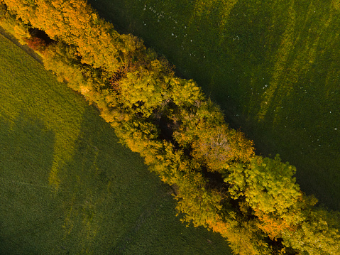 drone flight over colorful autumn landscape in lower austria