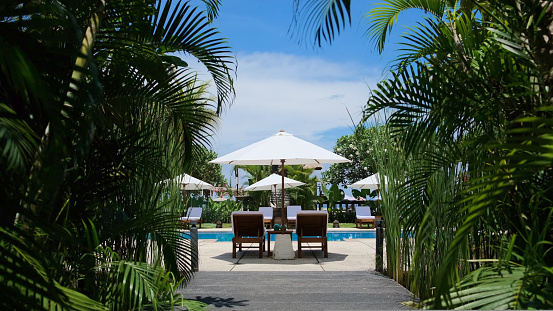 Scenic view of the luxury hotel resort path with palmtrees to the swimming pool with white beach umbrellas and chaise longues. Holidays in a tropical paradise for the whole family.