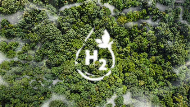 istock high angle view Hydrogen ecological metaphor as an ecological energy source White mist in the form of water droplets in the midst of untouched nature. virgin rainforest 1433292115