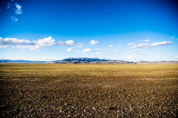 Beautiful spring landscape in Altai.