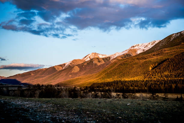 istock Beautiful spring landscape in Altai. 1433292931