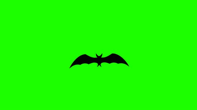 Loopable bat is flying