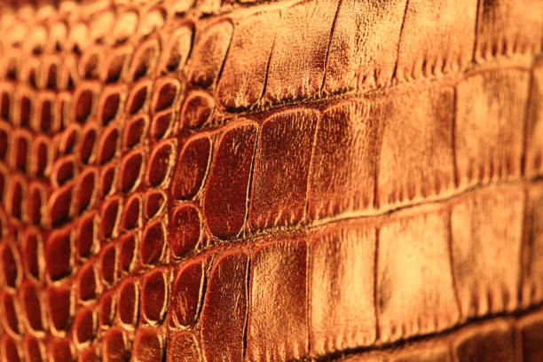 кожи - leather sewing label patch стоковые фото и изображения