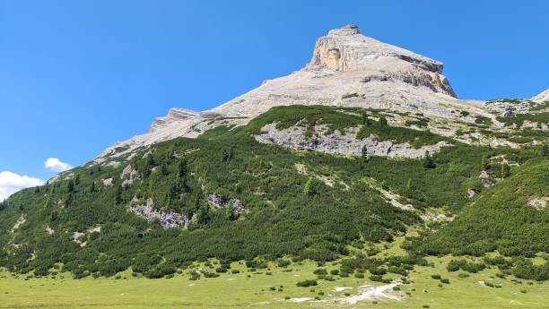 istock Mountain landscape in summer days 1433298649