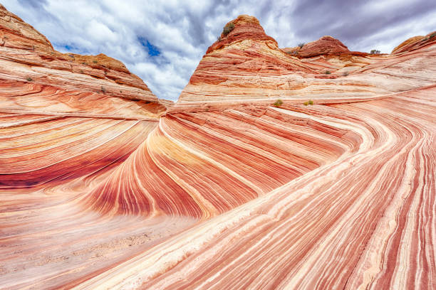 istock The Wave in the USA 1433300986